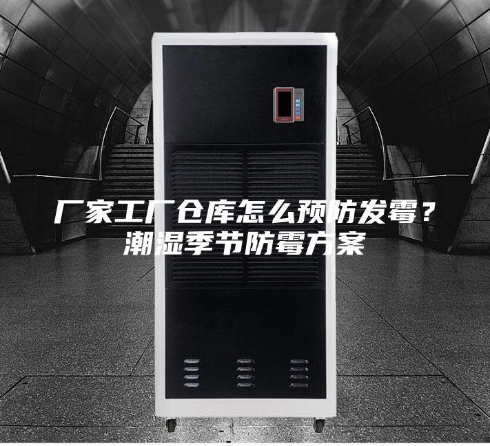 廠家工廠倉庫怎么預防發霉?潮濕季節防霉方案