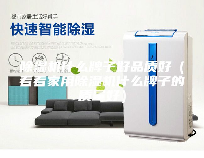 除濕機什么牌子好品質好(看看家用除濕機什么牌子的質量好)