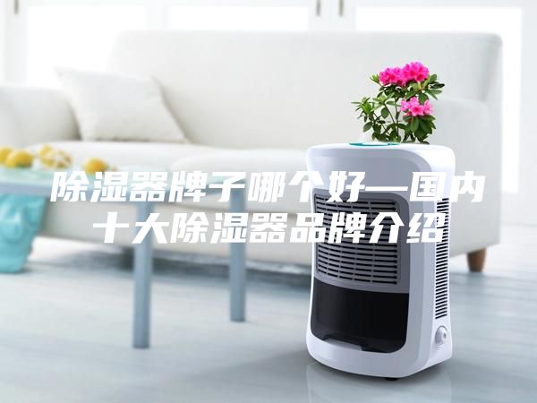 除濕器牌子哪個好—國內(nèi)十大除濕器品牌介紹