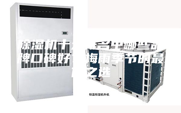 除濕機十大排名中哪些品牌口碑好？梅雨季節的最佳之選
