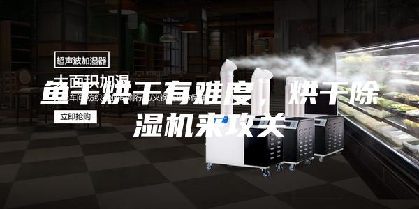 魚干烘干有難度，烘干除濕機來攻關(guān)