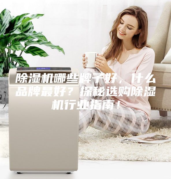 除濕機哪些牌子好，什么品牌最好？探秘選購除濕機行業指南！