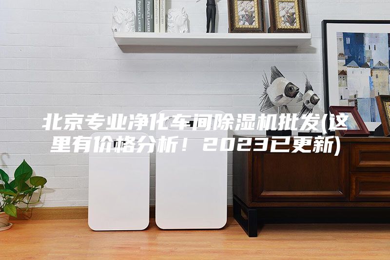 北京專業(yè)凈化車間除濕機(jī)批發(fā)(這里有價(jià)格分析!2023已更新)