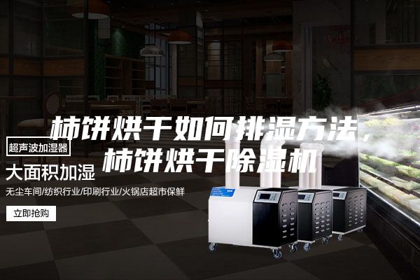 柿餅烘干如何排濕方法,柿餅烘干除濕機