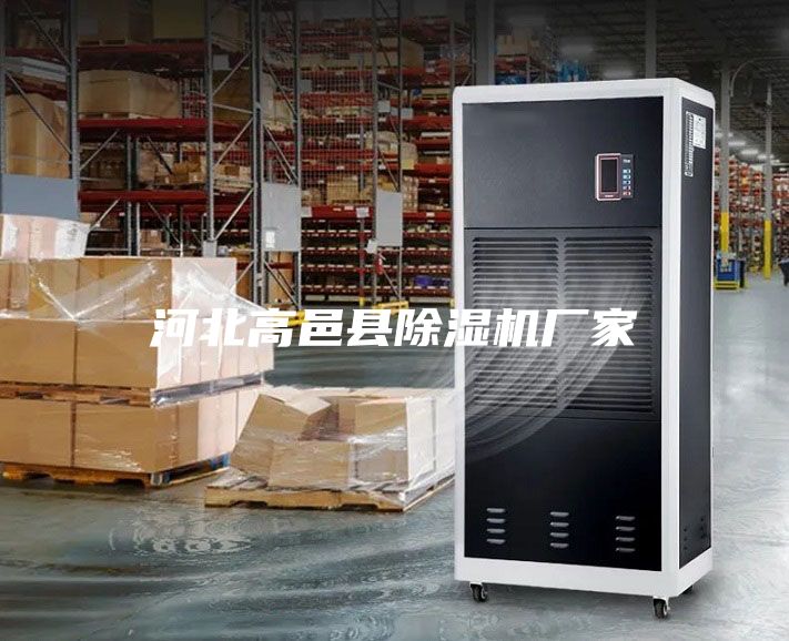 河北高邑縣除濕機(jī)廠(chǎng)家
