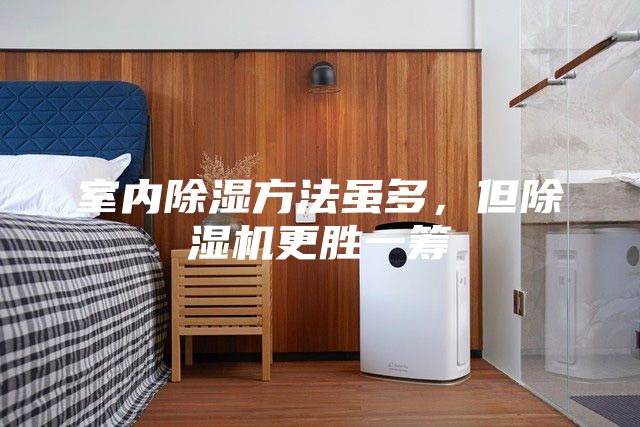 室內除濕方法雖多,但除濕機更勝一籌