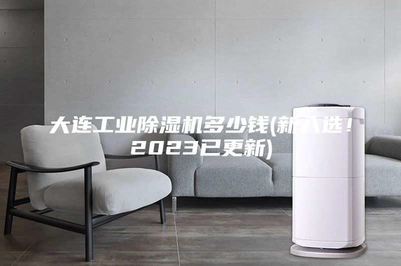大連工業除濕機多少錢(新入選!2023已更新)