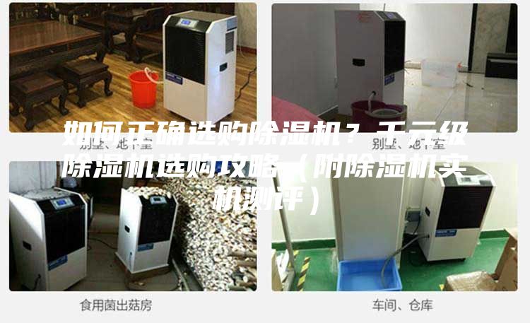 如何正確選購除濕機?千元級除濕機選購攻略(附除濕機實機測評)