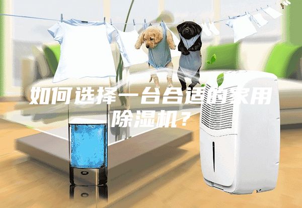 如何選擇一臺合適的家用除濕機？