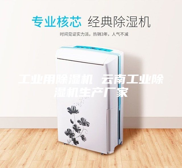 工業(yè)用除濕機(jī) 云南工業(yè)除濕機(jī)生產(chǎn)廠家