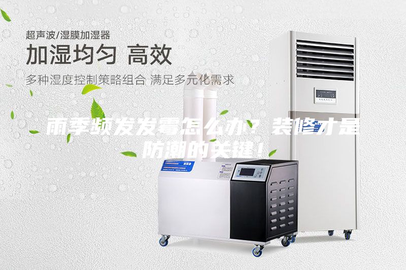 雨季頻發發霉怎么辦?裝修才是防潮的關鍵!