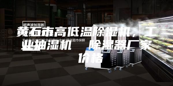 黃石市高低溫除濕機(jī),工業(yè)抽濕機(jī) 除濕器廠家 價(jià)格