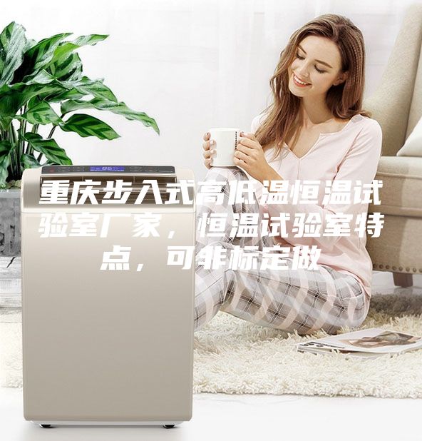 重慶步入式高低溫恒溫試驗(yàn)室廠家,恒溫試驗(yàn)室特點(diǎn),可非標(biāo)定做