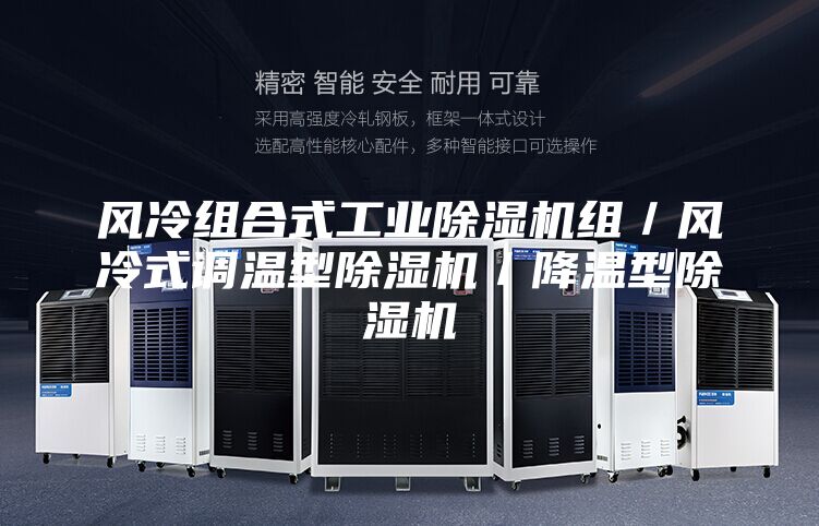 風冷組合式工業(yè)除濕機組/風冷式調溫型除濕機/降溫型除濕機