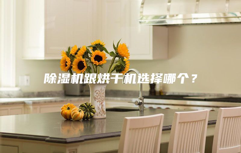 除濕機(jī)跟烘干機(jī)選擇哪個(gè)？