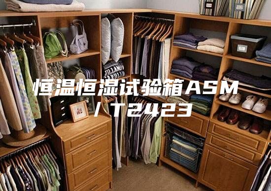 恒溫恒濕試驗(yàn)箱ASM/T2423