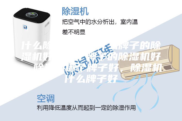 什么除濕機(jī)好,什么牌子的除濕機(jī)好,哪個(gè)牌子的除濕機(jī)好,除濕機(jī)哪個(gè)牌子好,除濕機(jī)什么牌子好
