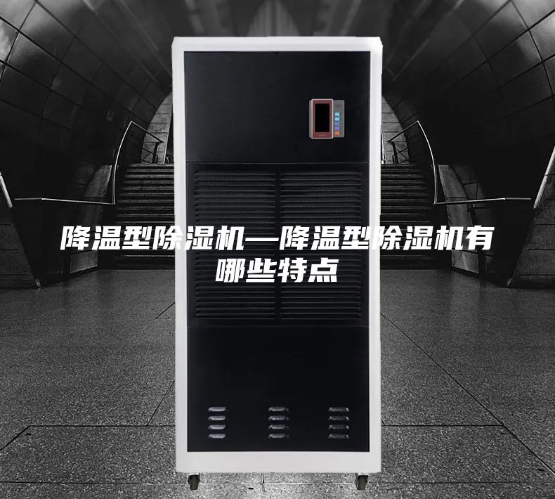 降溫型除濕機—降溫型除濕機有哪些特點