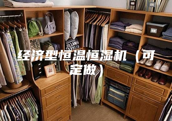 經(jīng)濟(jì)型恒溫恒濕機(jī)(可定做)