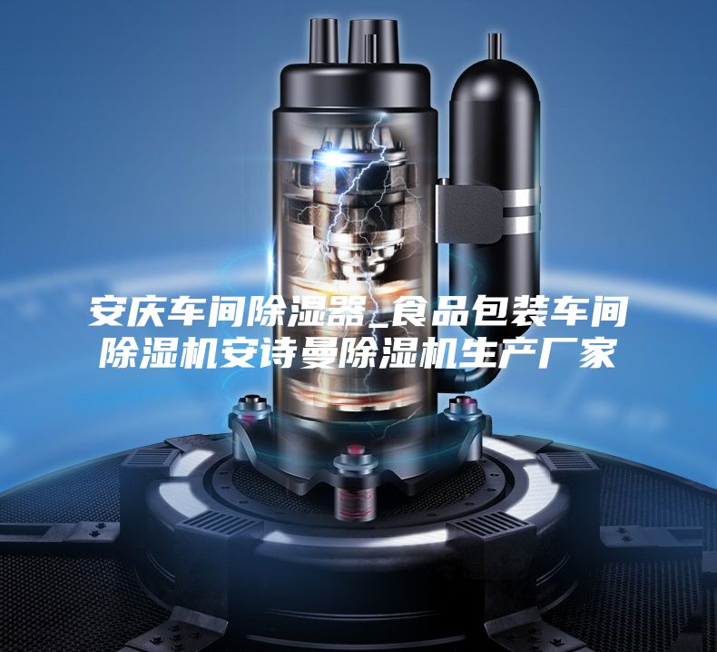 安慶車(chē)間除濕器_食品包裝車(chē)間除濕機(jī)安詩(shī)曼除濕機(jī)生產(chǎn)廠家