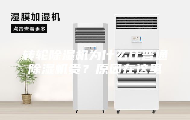 轉輪除濕機為什么比普通除濕機貴？原因在這里