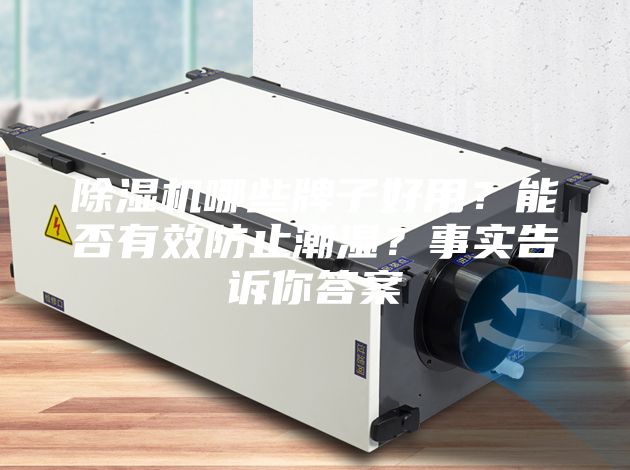 除濕機哪些牌子好用?能否有效防止潮濕?事實告訴你答案