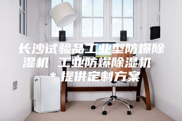 長沙試驗品工業(yè)型防爆除濕機 工業(yè)防爆除濕機 *提供定制方案