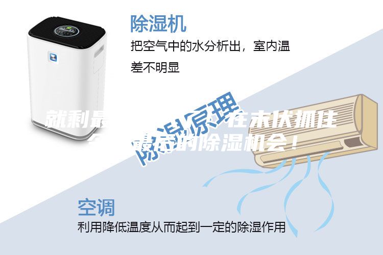 就剩最后一天了！在末伏抓住今年最后的除濕機(jī)會(huì)！