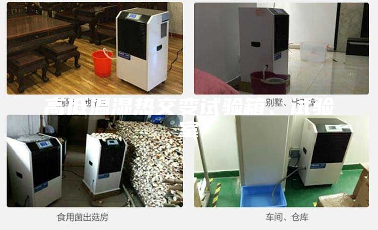 高低溫濕熱交變?cè)囼?yàn)箱、試驗(yàn)室
