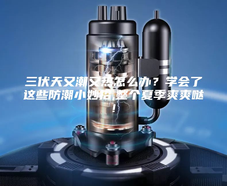 三伏天又潮又熱怎么辦？學會了這些防潮小妙招,整個夏季爽爽噠!