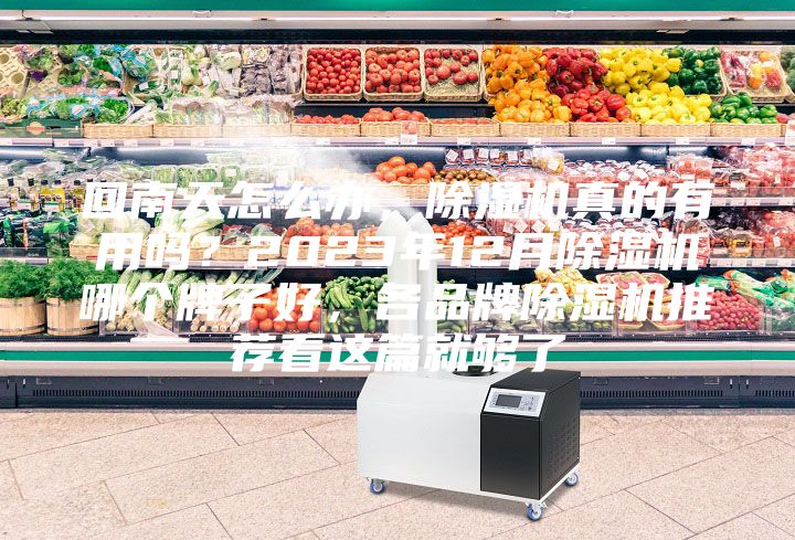 回南天怎么辦,除濕機真的有用嗎?2023年12月除濕機哪個牌子好,各品牌除濕機推薦看這篇就夠了