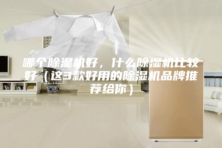 哪個除濕機好，什么除濕機比較好（這3款好用的除濕機品牌推薦給你）