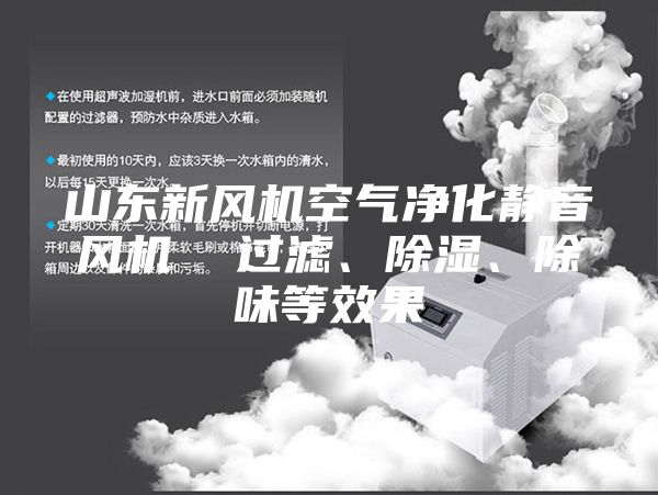 山東新風(fēng)機(jī)空氣凈化靜音風(fēng)機(jī)  過濾、除濕、除味等效果