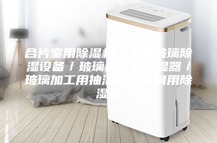 合片室用除濕機/夾層玻璃除濕設備/玻璃合片室除濕器/玻璃加工用抽濕機/車間用除濕機