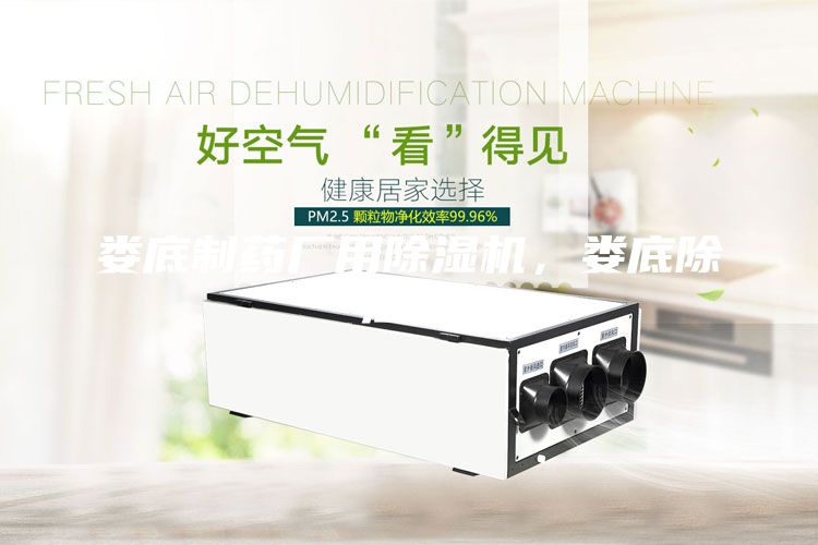 婁底制藥廠用除濕機，婁底除濕機