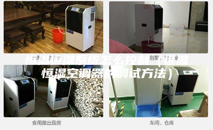 恒溫恒濕系統(tǒng)怎么控制（恒溫恒濕空調器的調試方法）