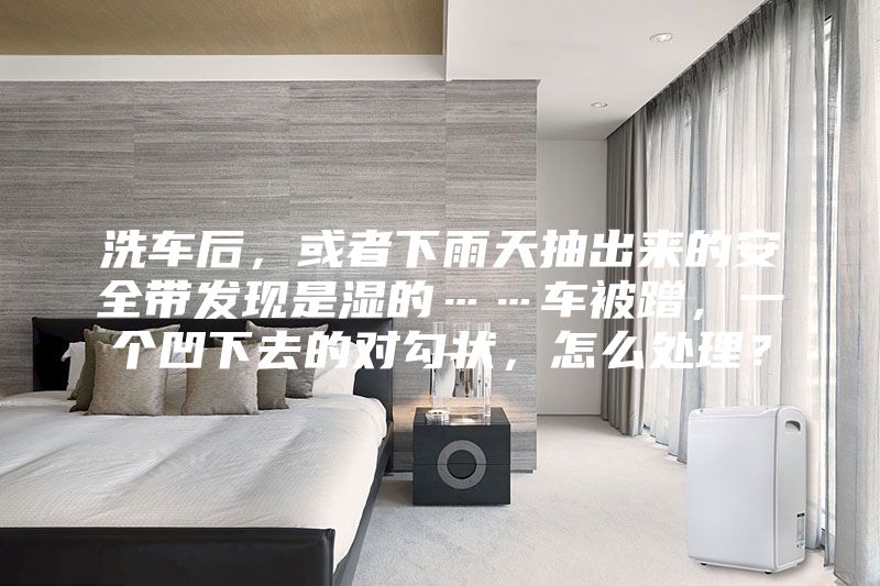 洗車后,或者下雨天抽出來的安全帶發現是濕的……車被蹭,一個凹下去的對勾狀,怎么處理?