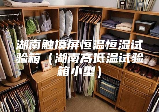 湖南觸摸屏恒溫恒濕試驗箱(湖南高低溫試驗箱小型)