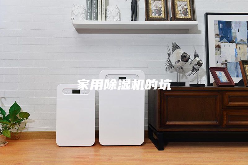 家用除濕機(jī)的坑