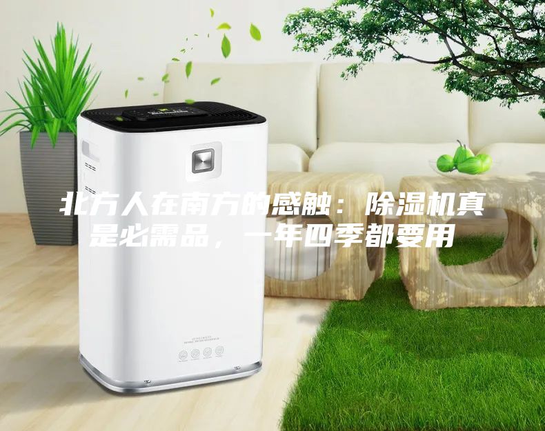 北方人在南方的感觸:除濕機真是必需品,一年四季都要用