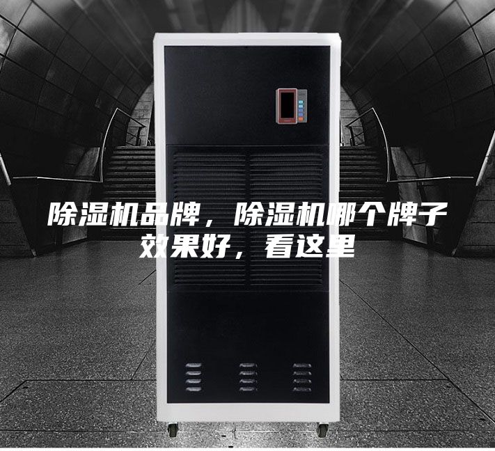 除濕機品牌,除濕機哪個牌子效果好,看這里