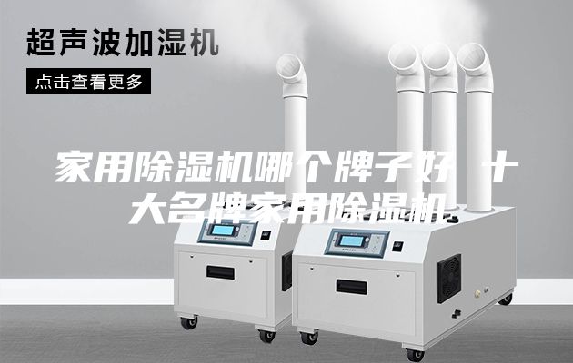 家用除濕機(jī)哪個(gè)牌子好 十大名牌家用除濕機(jī)