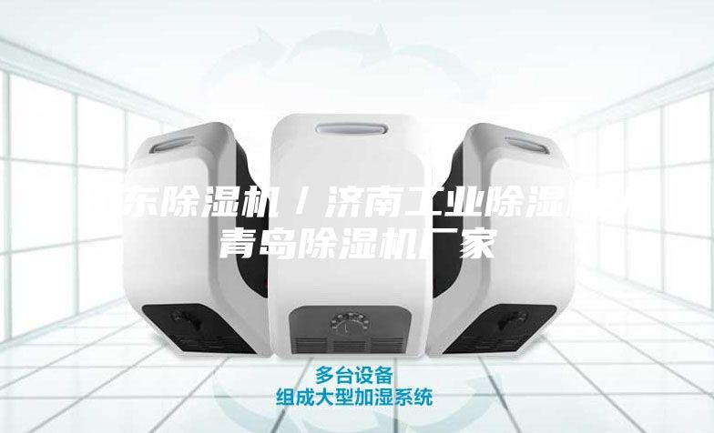 山東除濕機(jī)/濟(jì)南工業(yè)除濕機(jī)/青島除濕機(jī)廠(chǎng)家