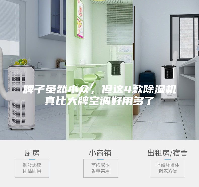 牌子雖然小眾,但這4款除濕機真比大牌空調(diào)好用多了