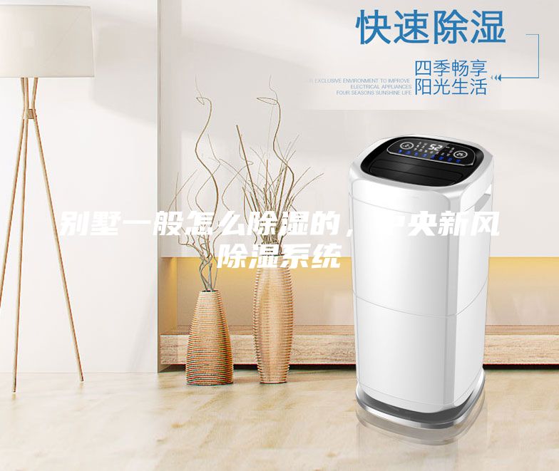 別墅一般怎么除濕的，中央新風除濕系統