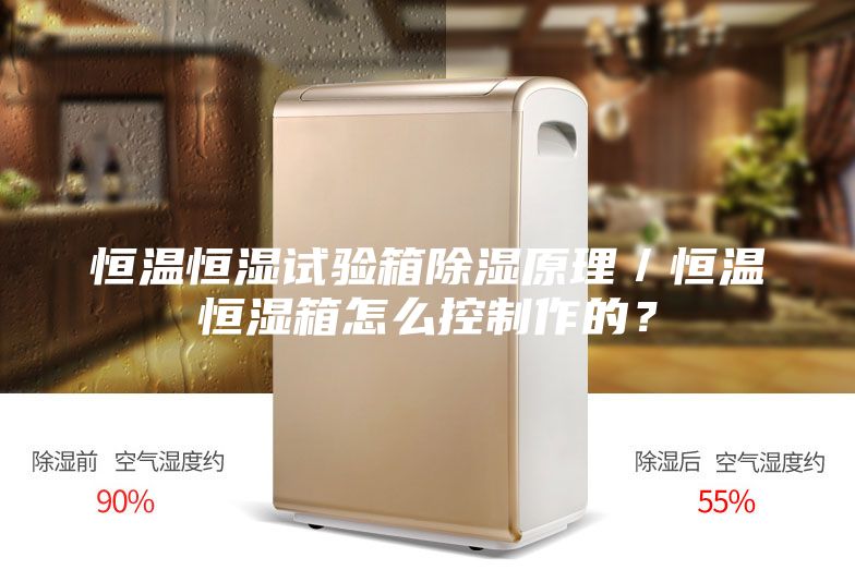 恒溫恒濕試驗箱除濕原理／恒溫恒濕箱怎么控制作的？