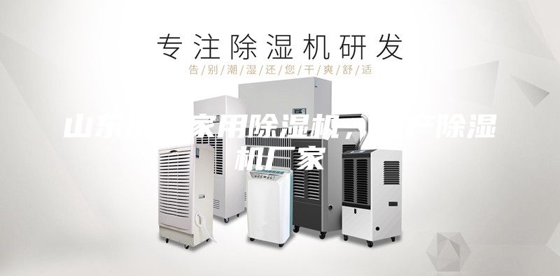 山東濟南家用除濕機，生產(chǎn)除濕機廠家