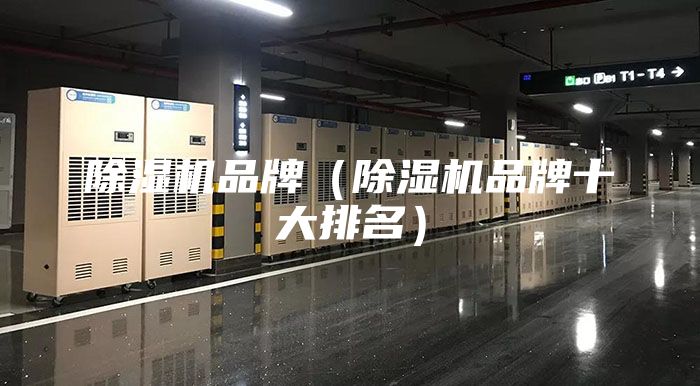 除濕機(jī)品牌（除濕機(jī)品牌十大排名）