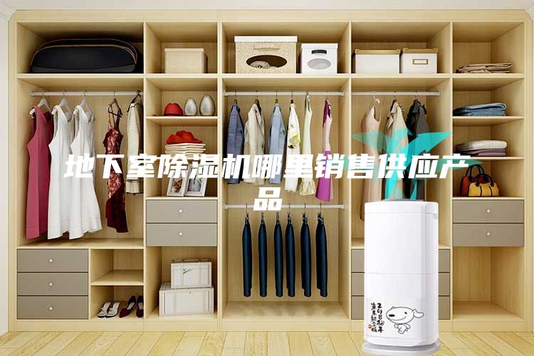 地下室除濕機哪里銷售供應(yīng)產(chǎn)品