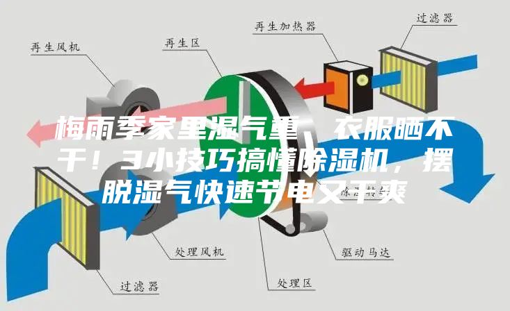 梅雨季家里濕氣重、衣服曬不干！3小技巧搞懂除濕機，擺脫濕氣快速節電又干爽